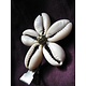 Cowry Hair Flowers, antique
