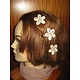 Cowry Hair Flowers, jade