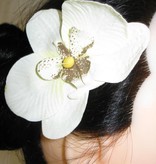 Ivory Orchid Hair Flowers 2 x