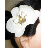 Ivory Orchid Hair Flowers 2 x