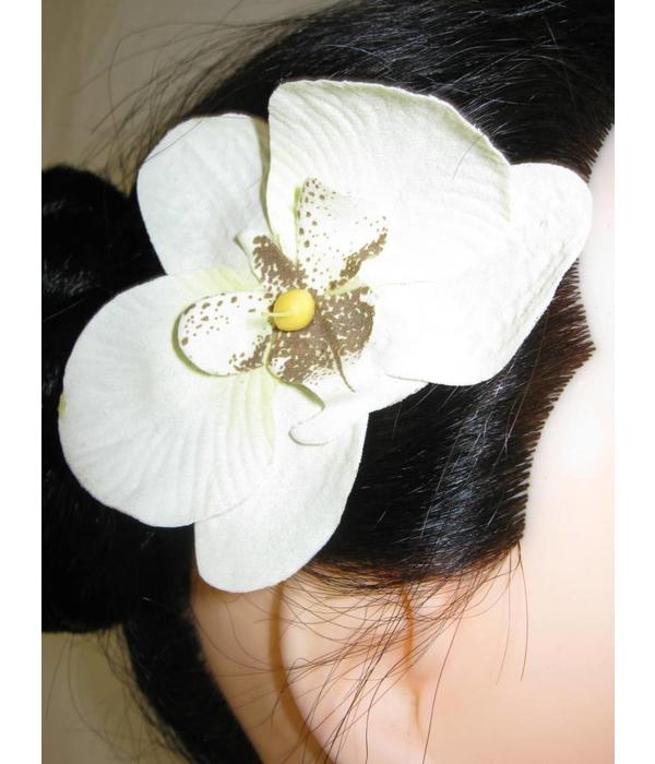 Ivory Orchid Hair Flowers 2 x