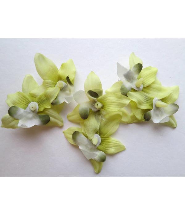 Fair Green Mini Orchid Hair Flowers