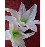 White Aloha Lily Hair Flower 2 x