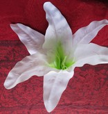 White Aloha Lily Hair Flower 2 x