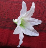 White Aloha Lily Hair Flower 2 x