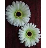 Cream-Green Chrysanthemum Hair Flower 2 x