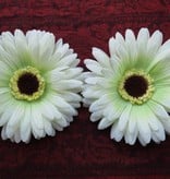 Cream-Green Chrysanthemum Hair Flower 2 x