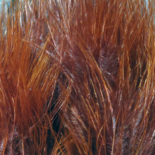 Hareline Dubbin Marabou Blood Quills