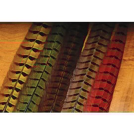 Hareline Dubbin Ringneck Pheasant Tail Feather