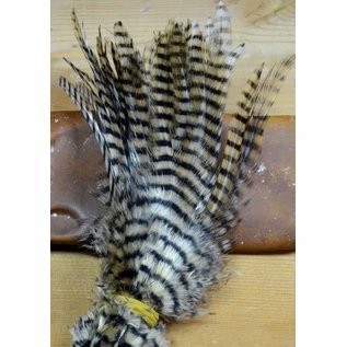 MFC Barred Saddle Hackle