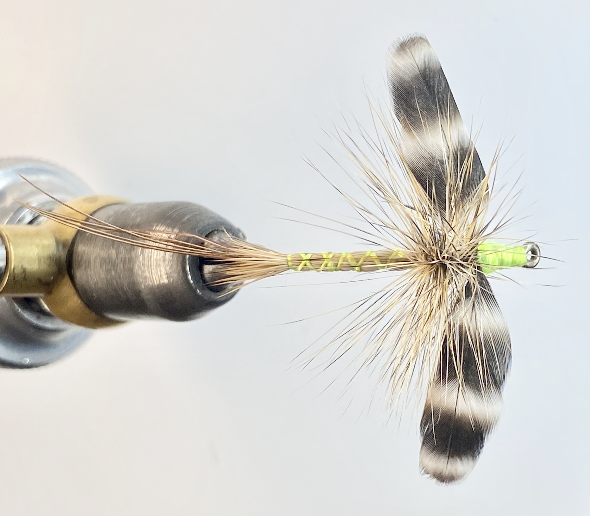 Sheets' Hen Wing Spinner Gates Au Sable Lodge