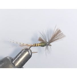 CDC Quigley BWO