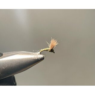 Steve's Sipper Sulphur