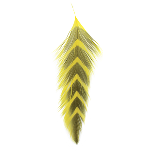 MFC Galloup's Fish Feathers - Arrowhead