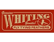 Whiting