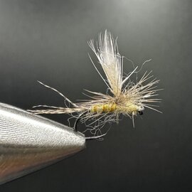Hackle Tip Sulphur