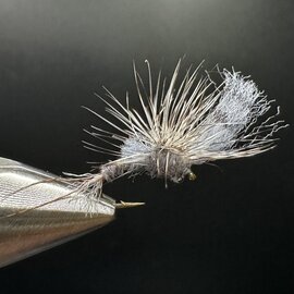 Film Critic Henny Emerger