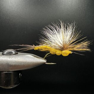 McCoy's All Day Hex Dun