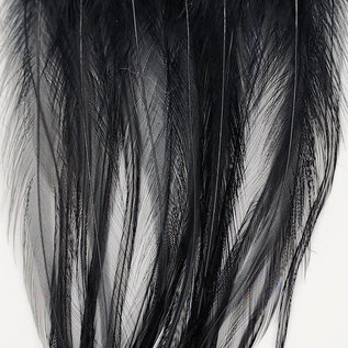 Metz Feathers Hackle Bugger Bunch