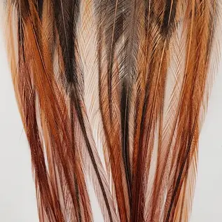 Metz Feathers Hackle Bugger Bunch