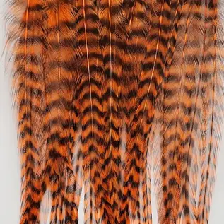 Metz Feathers Hackle Bugger Bunch