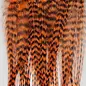 Metz Feathers Hackle Bugger Bunch