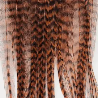Metz Feathers Hackle Bugger Bunch