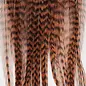Metz Feathers Hackle Bugger Bunch