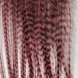 Metz Feathers Hackle Bugger Bunch