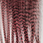 Metz Feathers Hackle Bugger Bunch