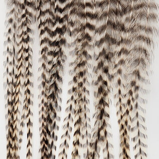 Metz Feathers Hackle Bugger Bunch