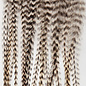 Metz Feathers Hackle Bugger Bunch