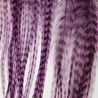Metz Feathers Hackle Bugger Bunch