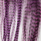 Metz Feathers Hackle Bugger Bunch