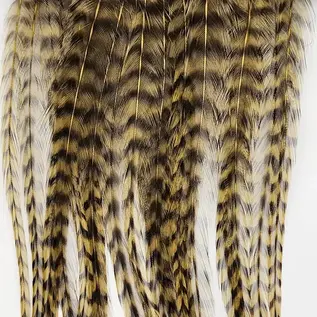 Metz Feathers Hackle Bugger Bunch