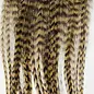 Metz Feathers Hackle Bugger Bunch