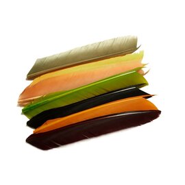 Fulling Mill Turkey Biots