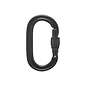 Black Diamond Oval Keylock Screwgate