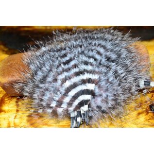 Hareline Dubbin MFC Barred Marabou