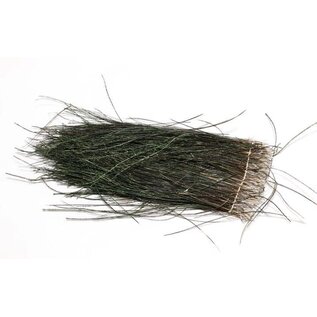 Hareline Dubbin Strung Peacock Herl 5-7 LG