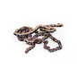 2021 Dartmoor Chain Core singlespeed 1/8"