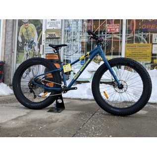 ROCKY MOUNTAIN BLIZZARD A10 FAT BIKE