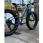 ROCKY MOUNTAIN BLIZZARD A10 FAT BIKE