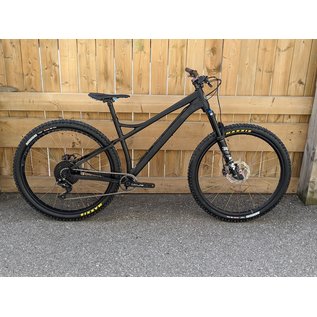 CUSTOM BANSHEE PARADOX 29" SIZE LARGE