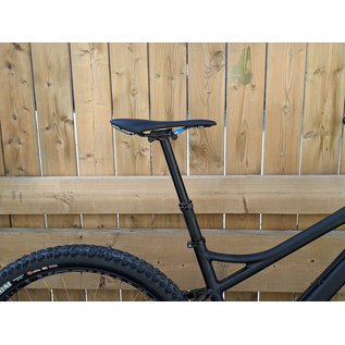 CUSTOM BANSHEE PARADOX 29" SIZE LARGE