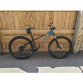 ROCKY MOUNTAIN FUSION 30 MTB  29" BLACK / BLUE