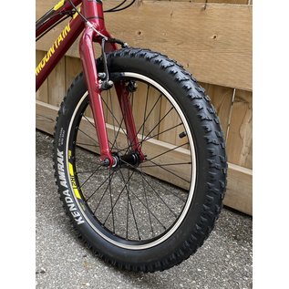ROCKY MOUNTAIN EDGE 20" 0/S KIDS MTB