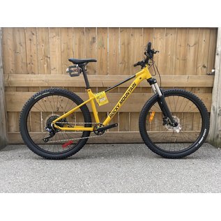 ROCKY MOUNTAIN SOUL 10  YELLOW / BLACK  27.5"