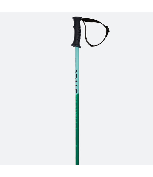 Volkl Phantastick Kids Poles