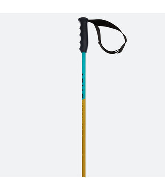Volkl Phantastick Jr. Poles